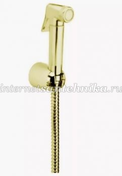 Гигиенический душ Webert Comfort AM0433 Золото ― магазин ИнтернетСантехника