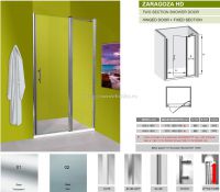 Душевая дверь ZARAGOZA HD Olive`S, 137-139x190 см, стекло - прозрачное, профиль - Silver глянцевый, ZARHD-140-01C
